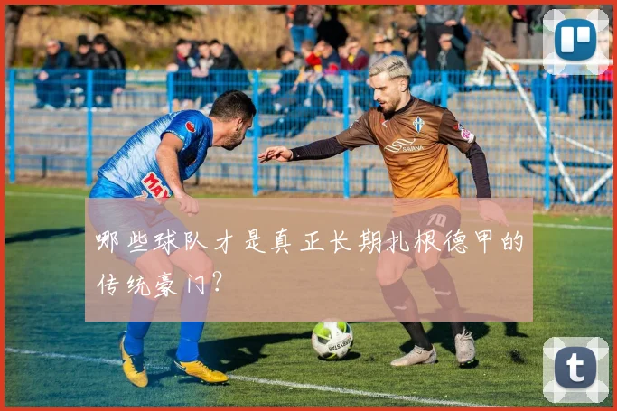 哪些球队才是真正长期扎根德甲的传统豪门？