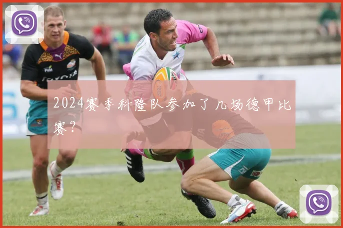 2024赛季科隆队参加了几场德甲比赛？