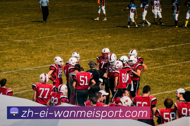 完美体育发展历程