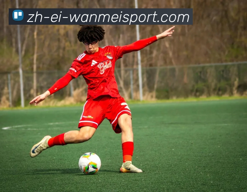 德甲球队球场高清图片大全及场馆特色介绍